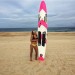 Paddle Board 10'6 Epoxy ELITE Made in France