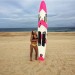 Paddle Board 10'6 Epoxy ELITE